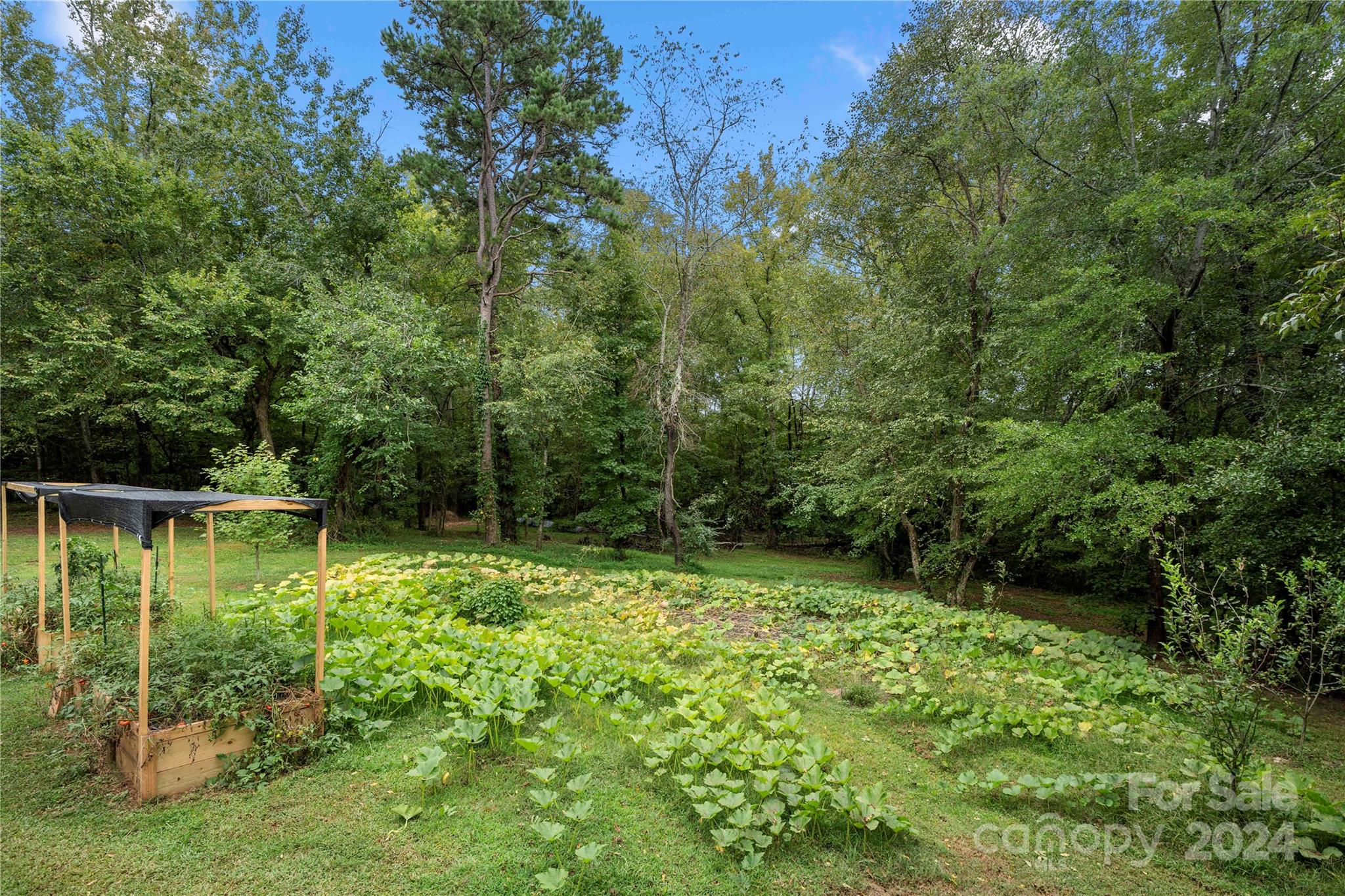 822 Holly Ridge Road Blacksburg, SC 29702 - Photo 11 of 48 Gallery Image 11