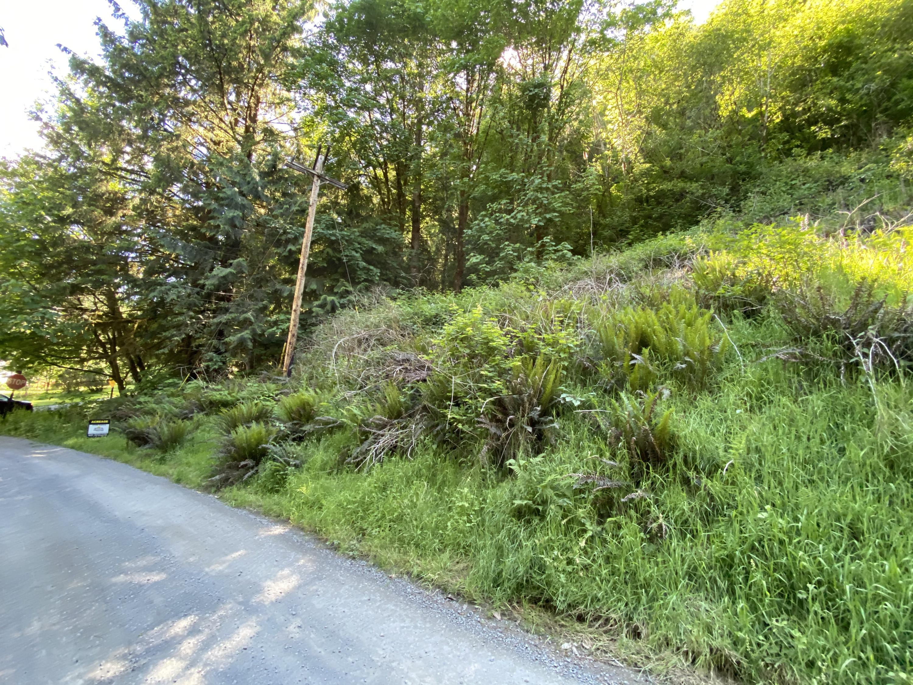 West Point Drive Nehalem, OR 97131 - Photo 16 of 19 Photo Jun 09, 4 22 15 PM
