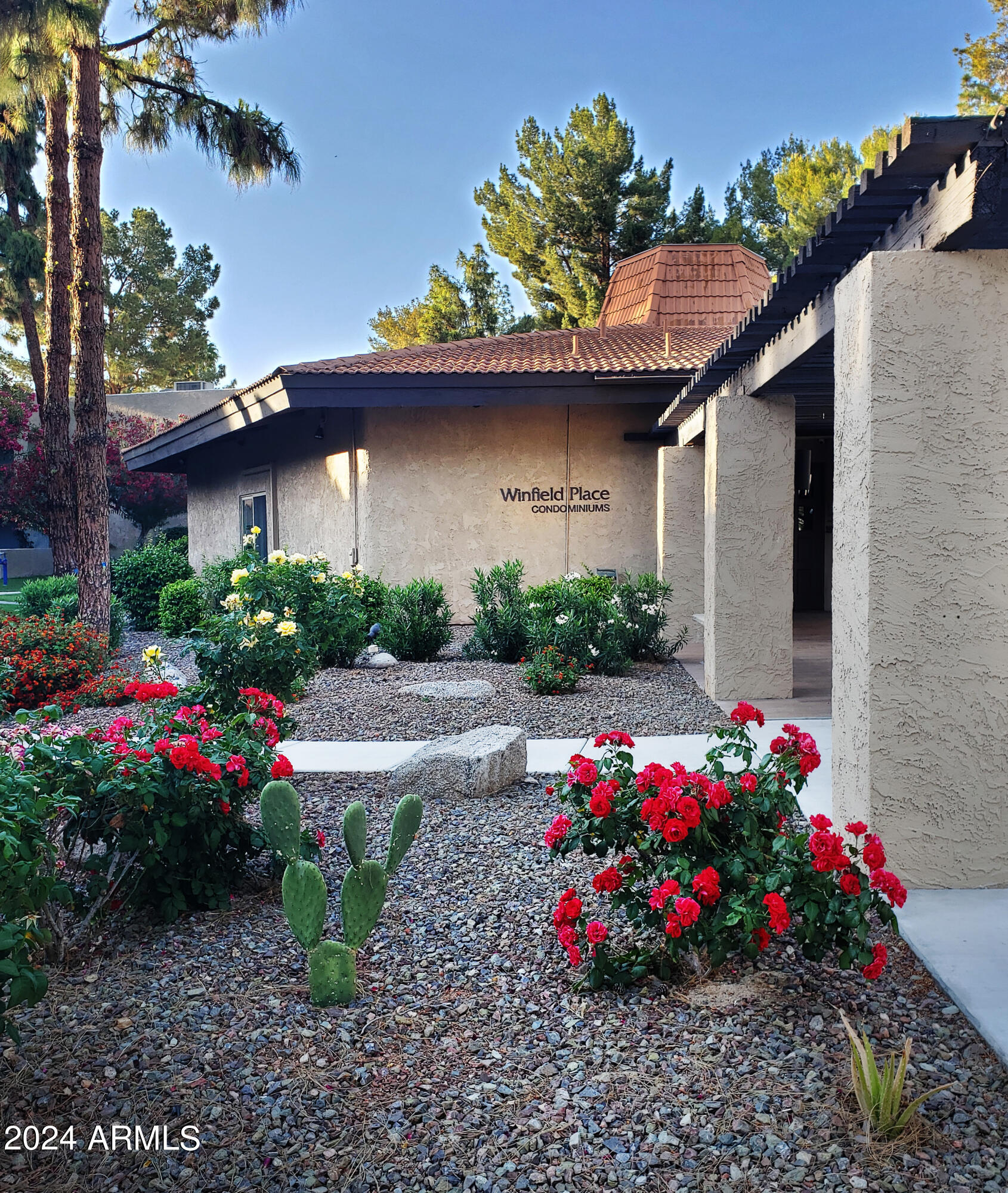 7436 East Chaparral Road, Unit 120B Scottsdale, AZ 85250 - Photo 15 of 24 a small garden covered with couches