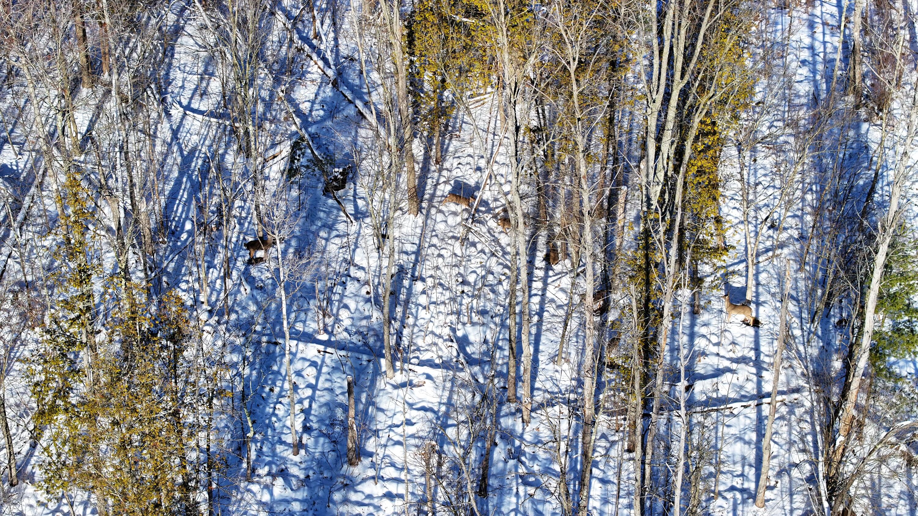 3435 18 Mile Road Northeast Cedar Springs, MI 49319 - Photo 11 of 21 11