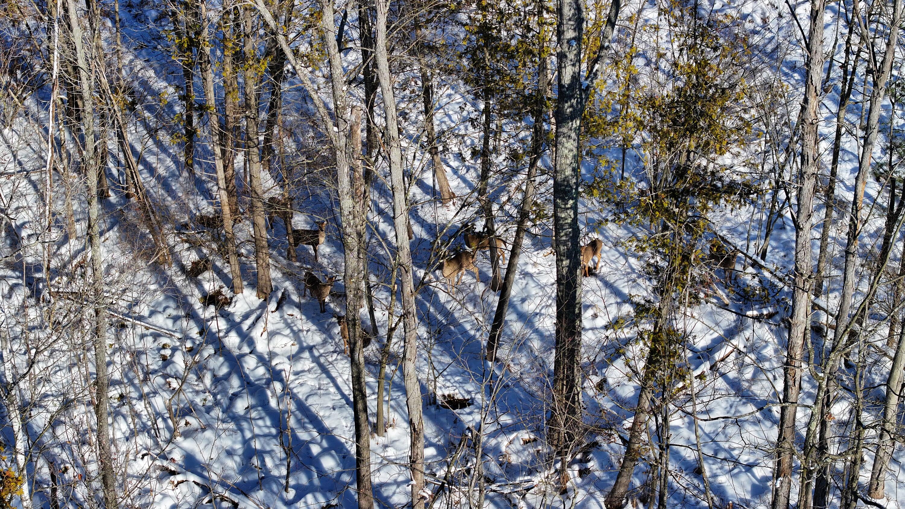 3435 18 Mile Road Northeast Cedar Springs, MI 49319 - Photo 12 of 21 12