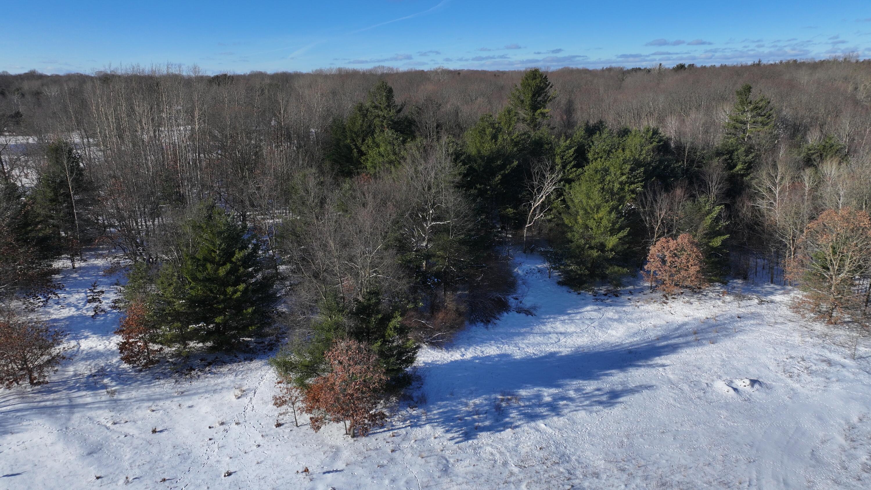 3435 18 Mile Road Northeast Cedar Springs, MI 49319 - Photo 14 of 21 14