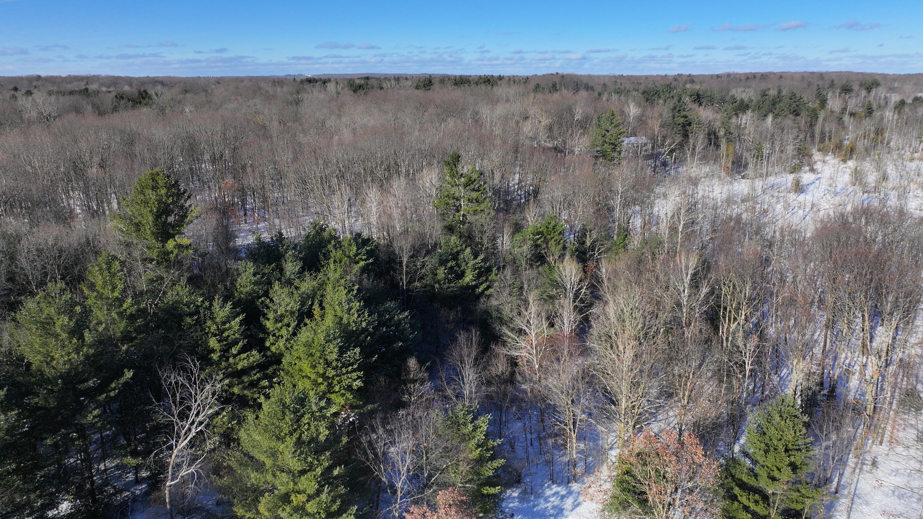 3435 18 Mile Road Northeast Cedar Springs, MI 49319 - Photo 16 of 21 16