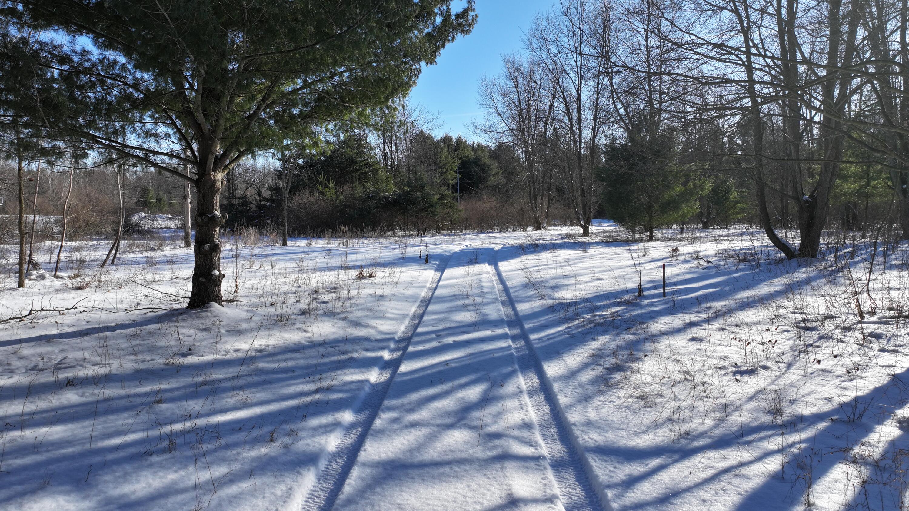 3435 18 Mile Road Northeast Cedar Springs, MI 49319 - Photo 17 of 21 17