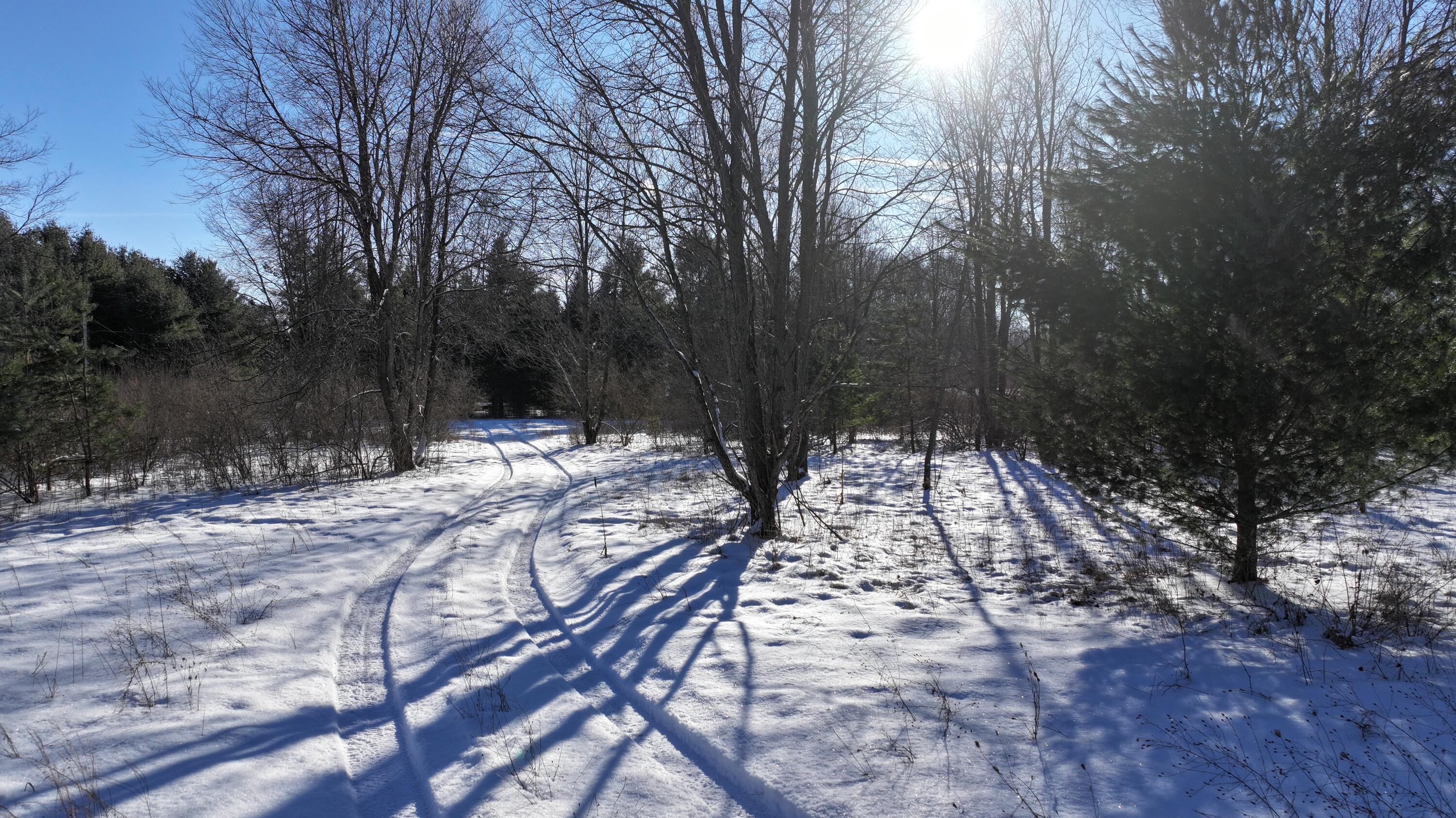 3435 18 Mile Road Northeast Cedar Springs, MI 49319 - Photo 19 of 21 19