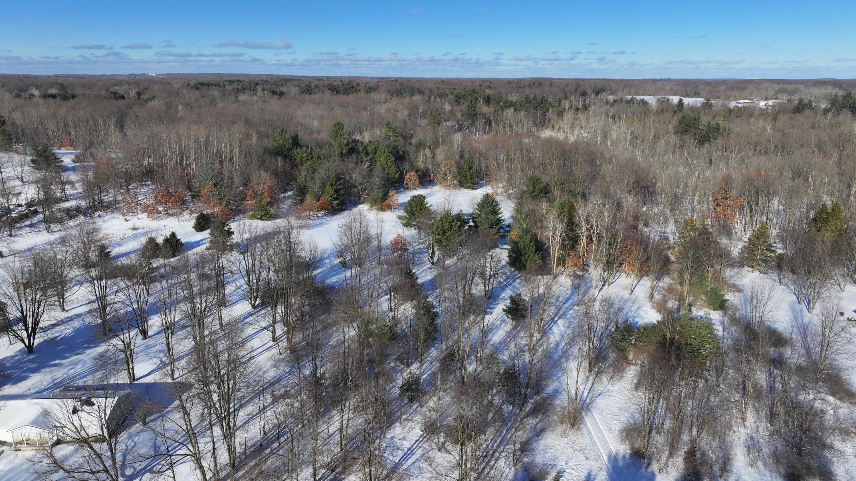 3435 18 Mile Road Northeast Cedar Springs, MI 49319 - Photo 3 of 21 3