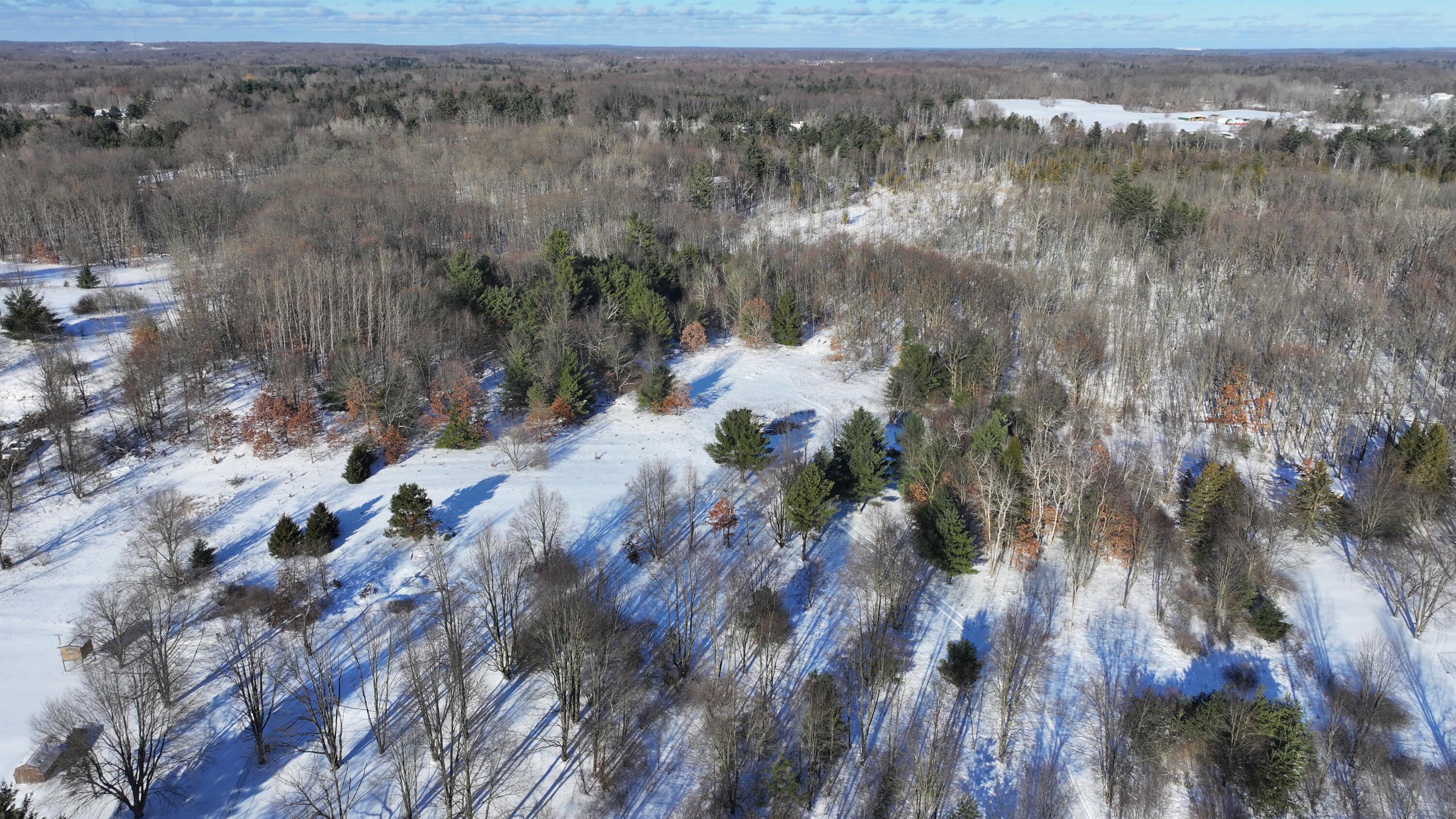 3435 18 Mile Road Northeast Cedar Springs, MI 49319 - Photo 4 of 21 4