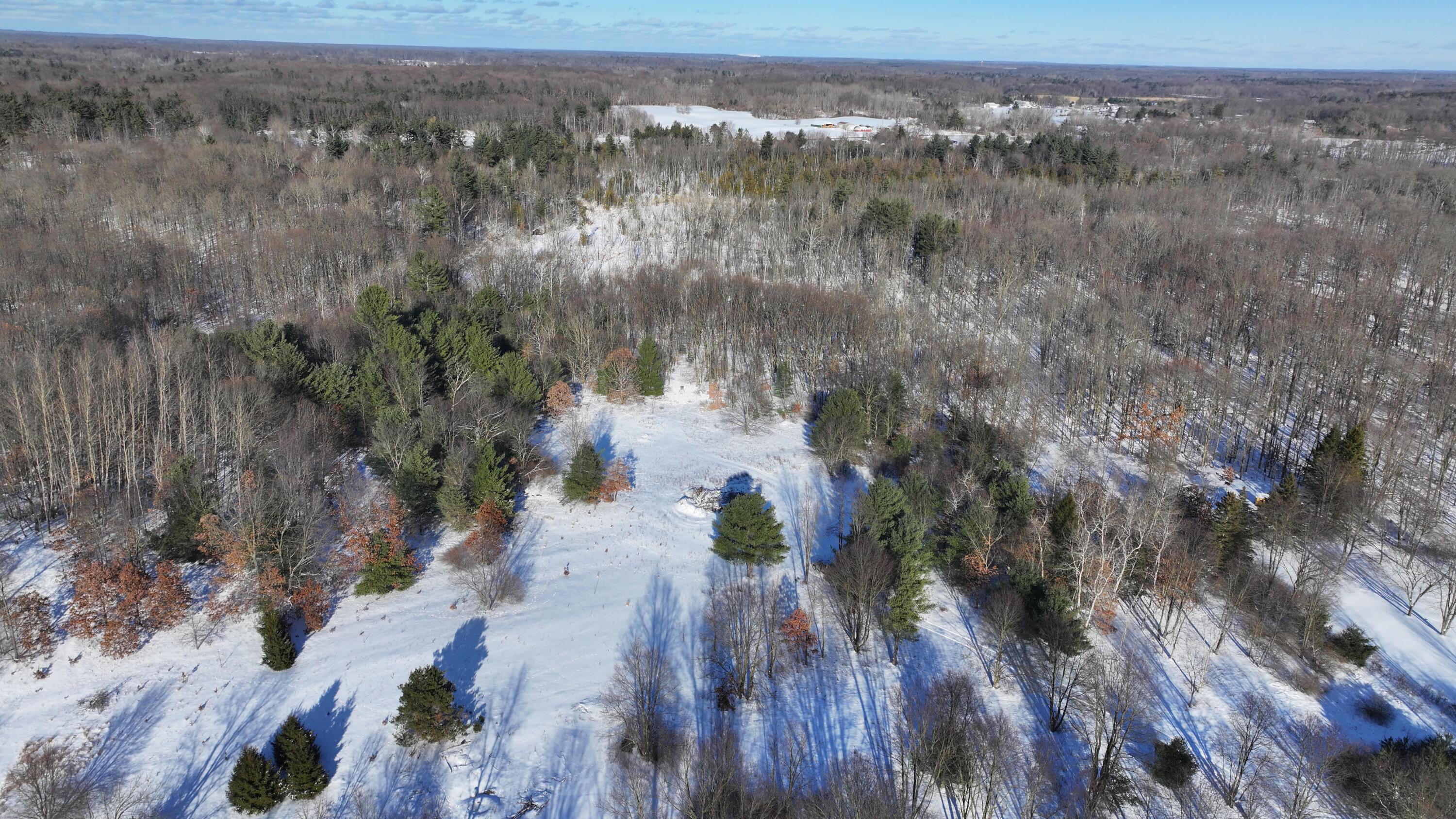 3435 18 Mile Road Northeast Cedar Springs, MI 49319 - Photo 5 of 21 5