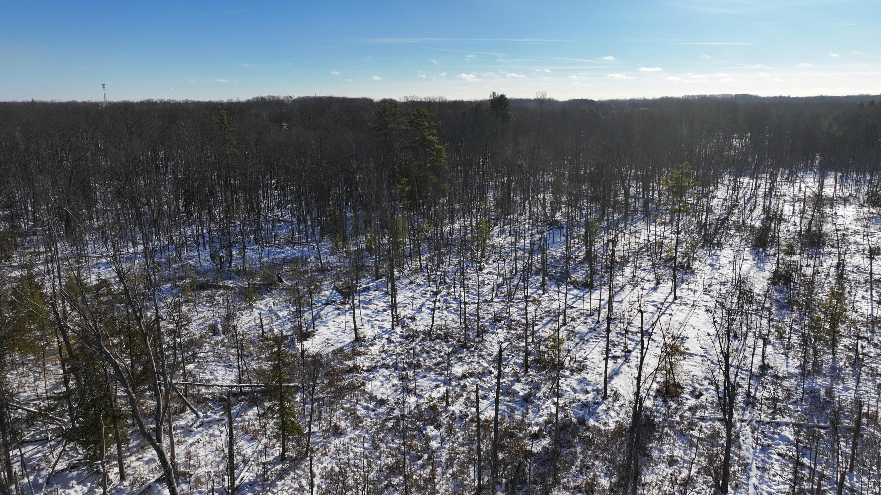 3435 18 Mile Road Northeast Cedar Springs, MI 49319 - Photo 8 of 21 8