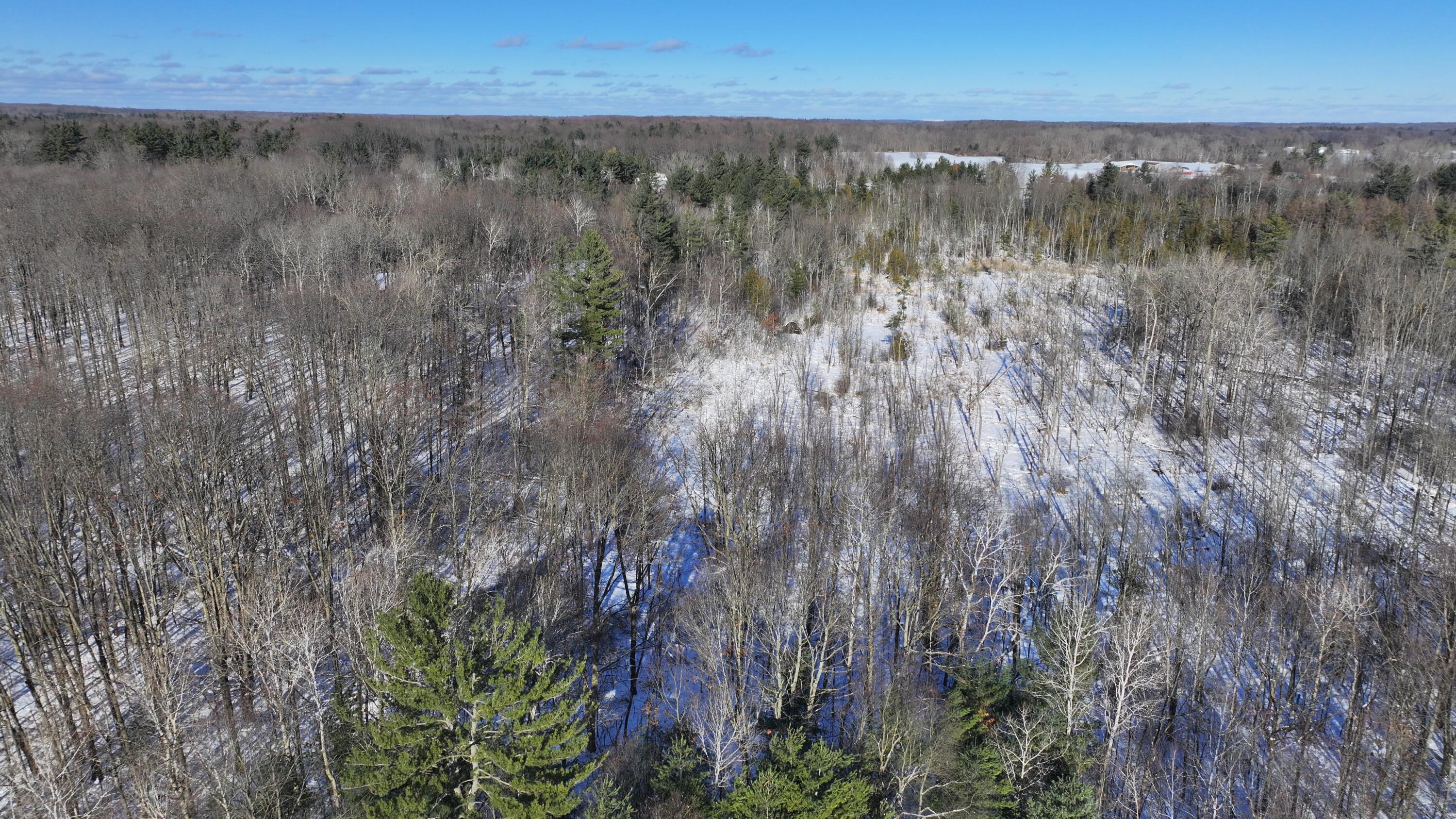 3435 18 Mile Road Northeast Cedar Springs, MI 49319 - Photo 10 of 21 10