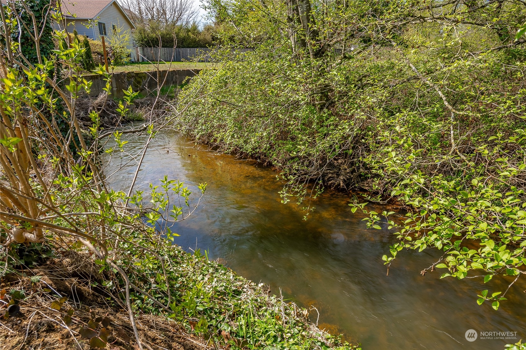 323 Edgewater Lane Lynden, WA 98264 - Photo 34 of 40 a view of a lake