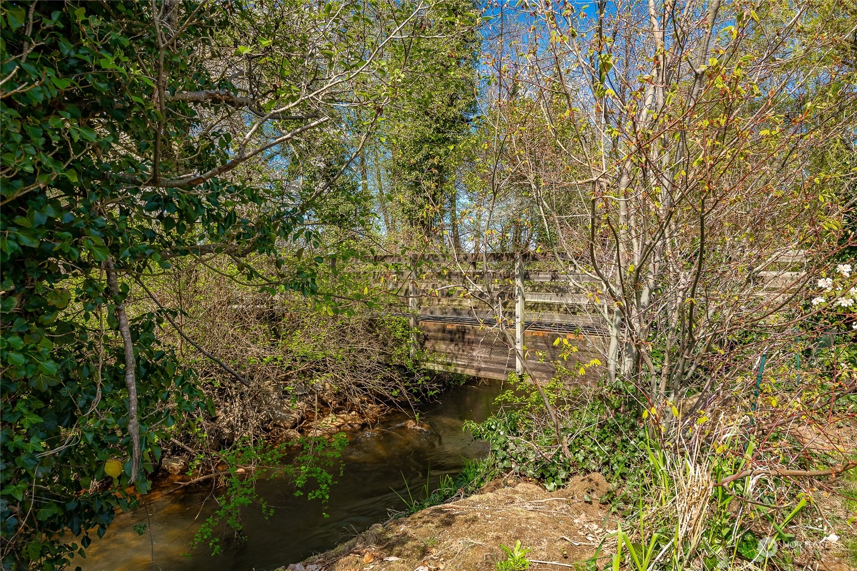 323 Edgewater Lane Lynden, WA 98264 - Photo 35 of 40 a close up of a plant