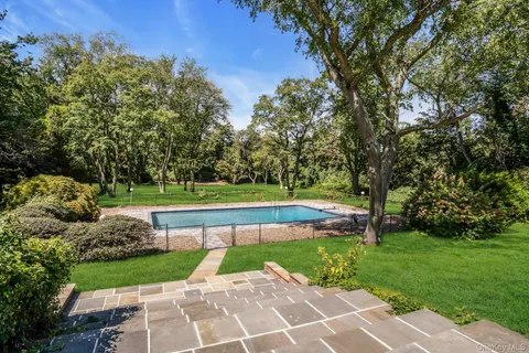 a view of a park with large trees