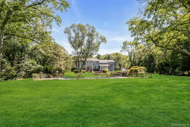 a view of a park with large trees