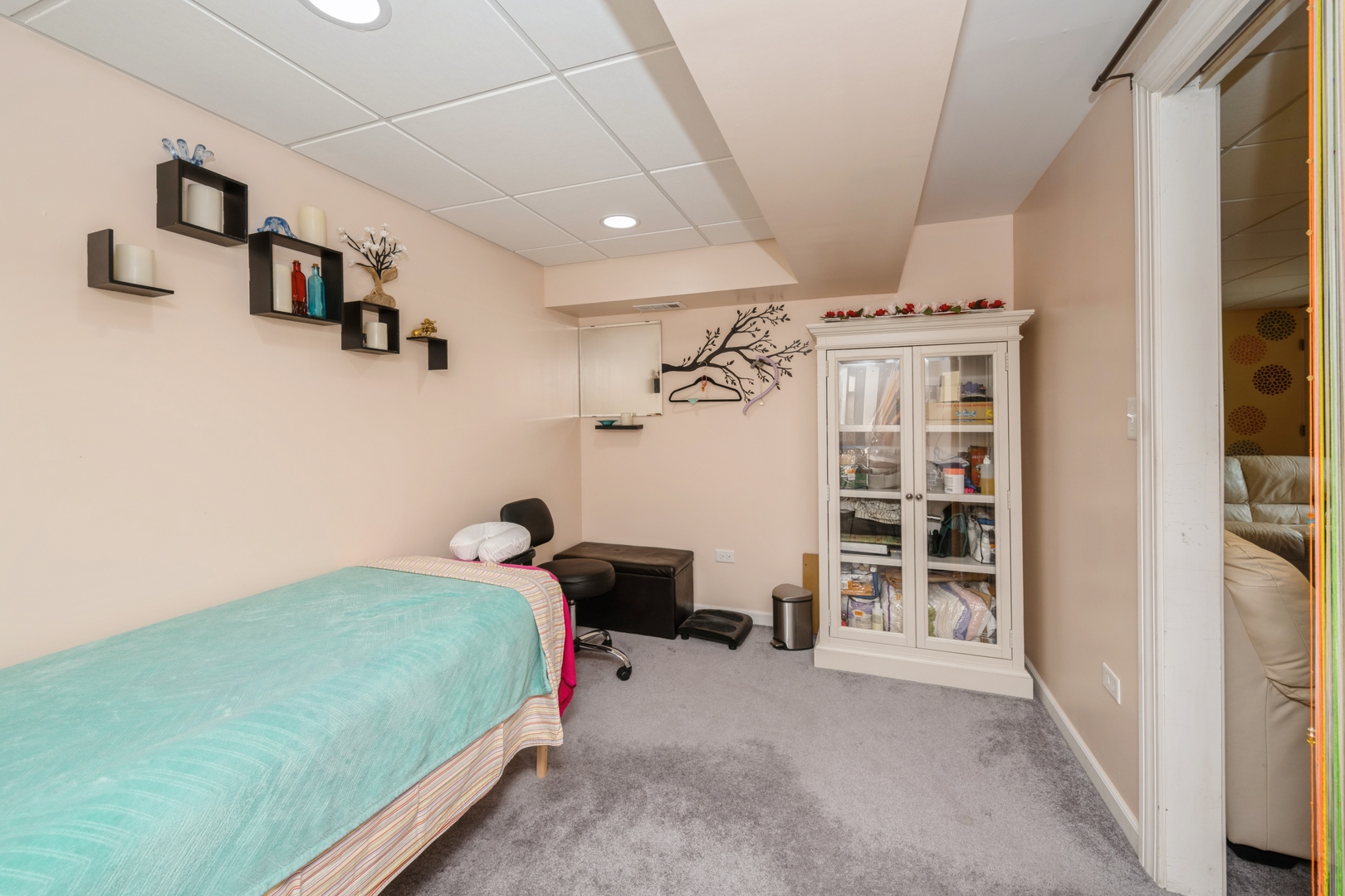 646 Grand Canyon Circle Crystal Lake, IL 60014 - Photo 12 of 14