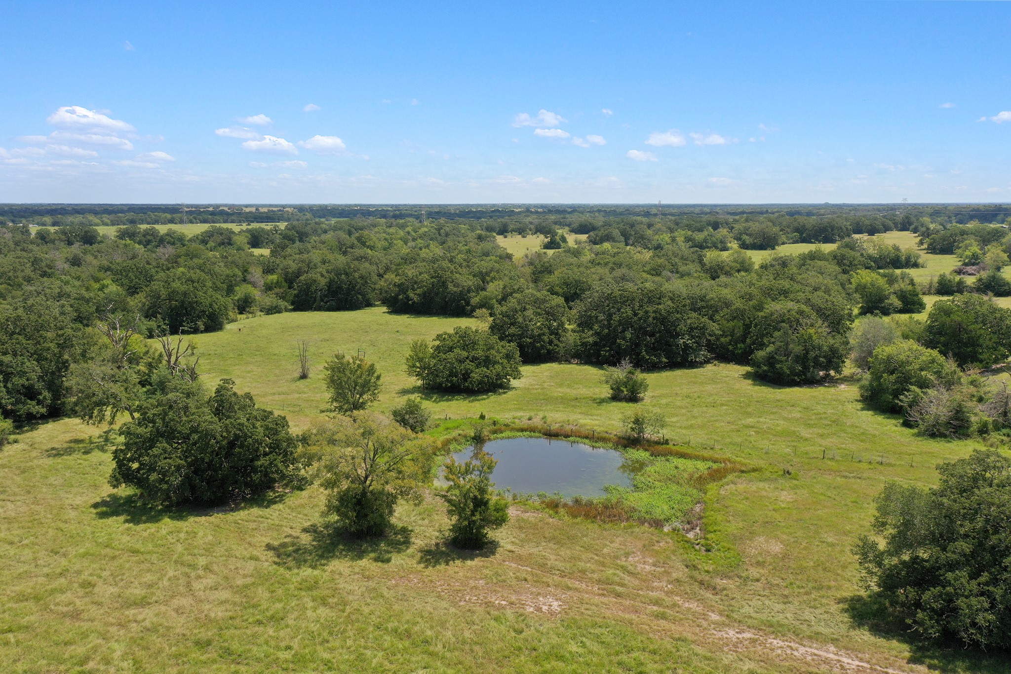 7808 Oxford Cemetery Road Madisonville, TX 77864 - Photo 14 of 16 a view of a yard with plants and a lake view