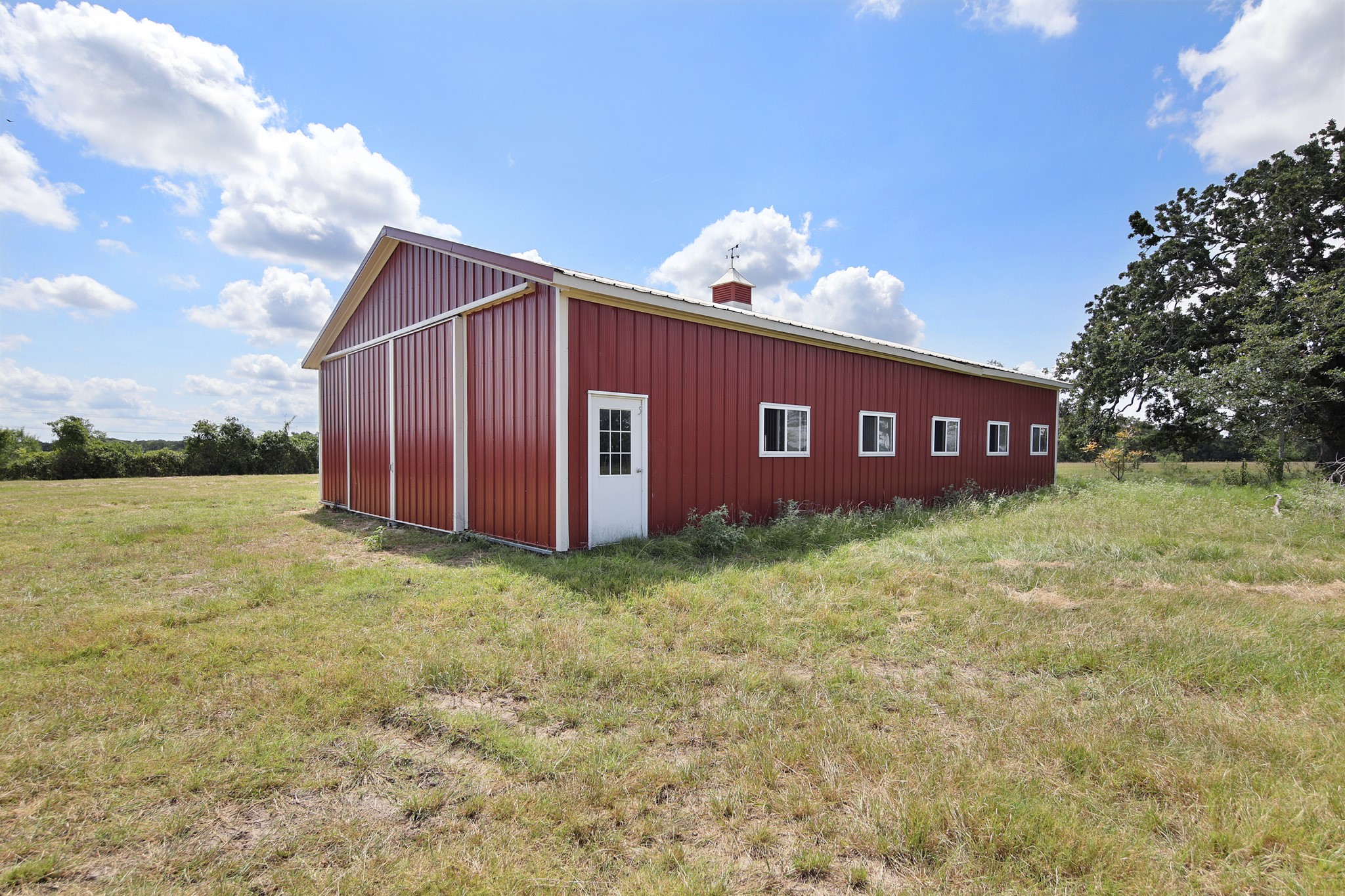 7808 Oxford Cemetery Road Madisonville, TX 77864 - Photo 7 of 16 a view of a back yard