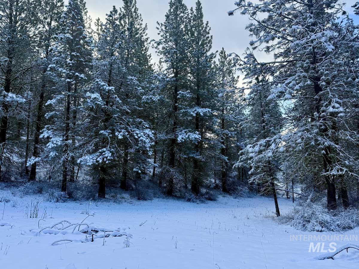 1222 Crown Point Parkway Cascade, ID 83611 - Photo 29 of 40