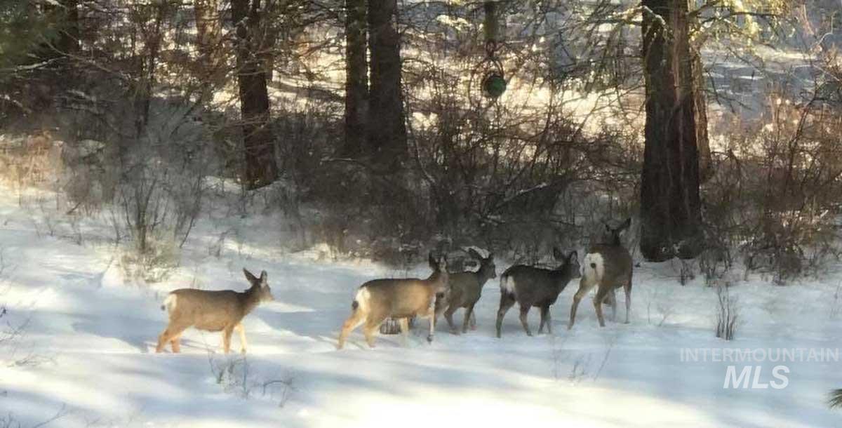 1222 Crown Point Parkway Cascade, ID 83611 - Photo 36 of 40