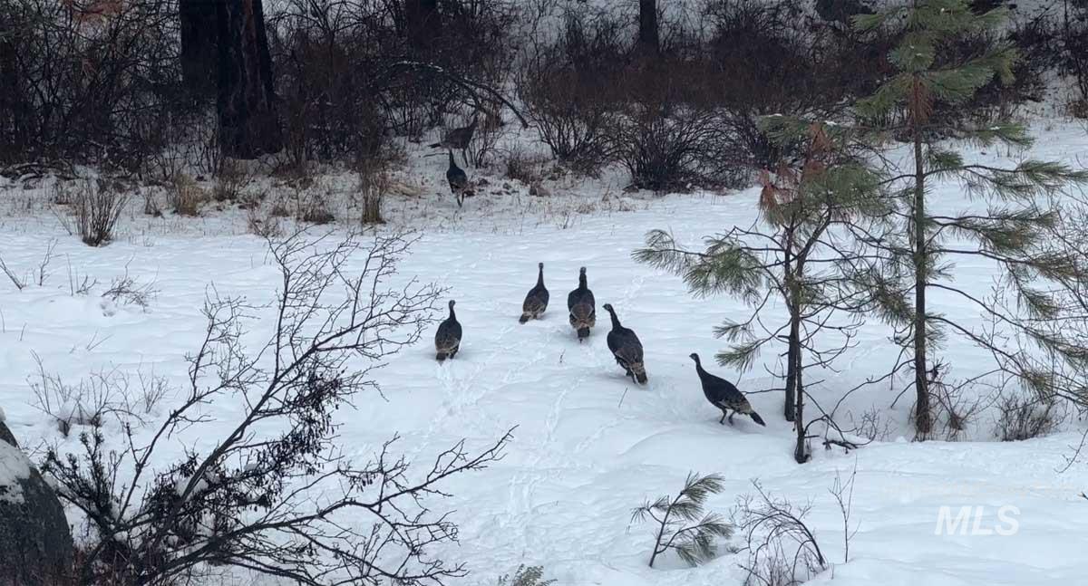 1222 Crown Point Parkway Cascade, ID 83611 - Photo 37 of 40