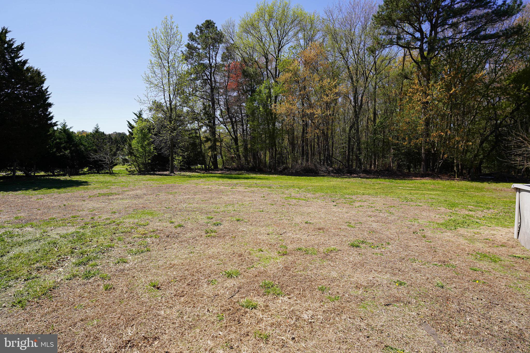 14880 Concord Road Seaford, DE 19973 - Photo 7 of 58
