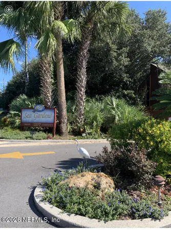 a view of a backyard with plants
