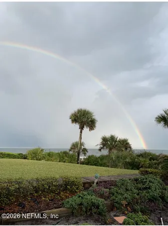 a view of a field with an ocean and trees
