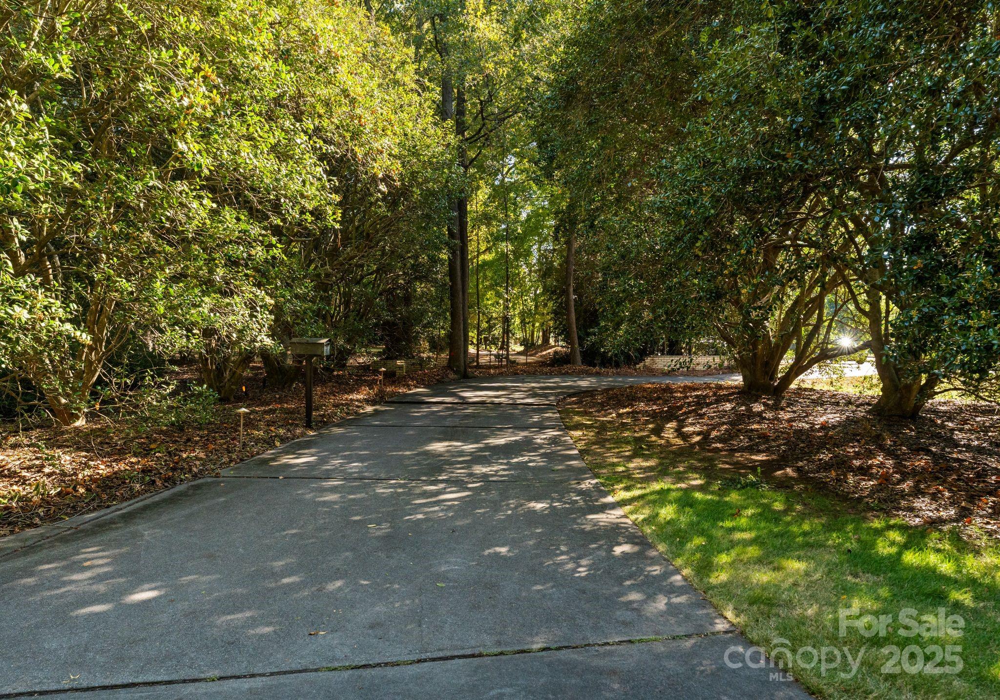9331 Providence Road Charlotte, NC 28270 - Photo 36 of 40 a view of outdoor space with trees