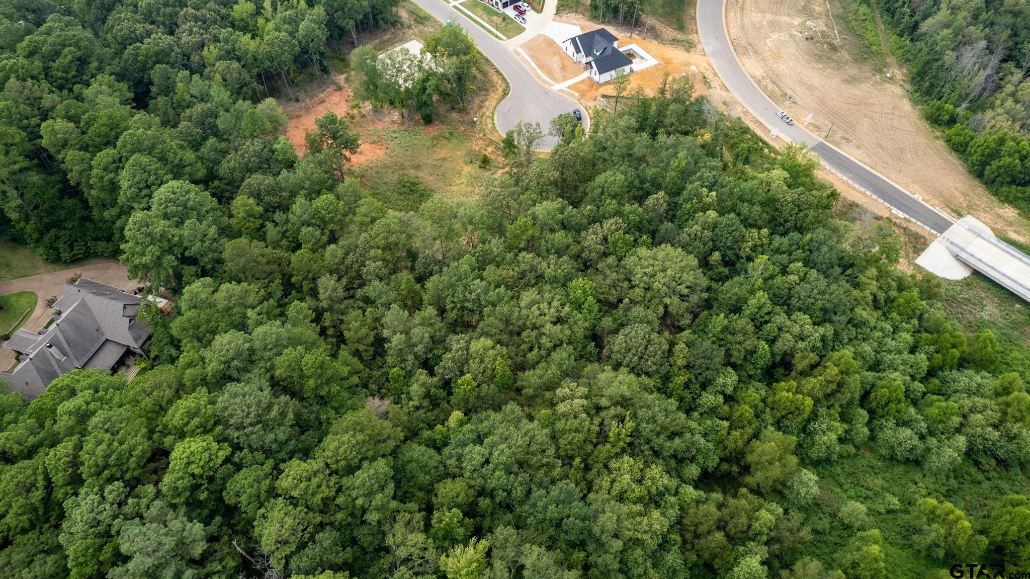 9299 Caddo Rdg Cove Tyler, TX 75703 - Photo 18 of 23