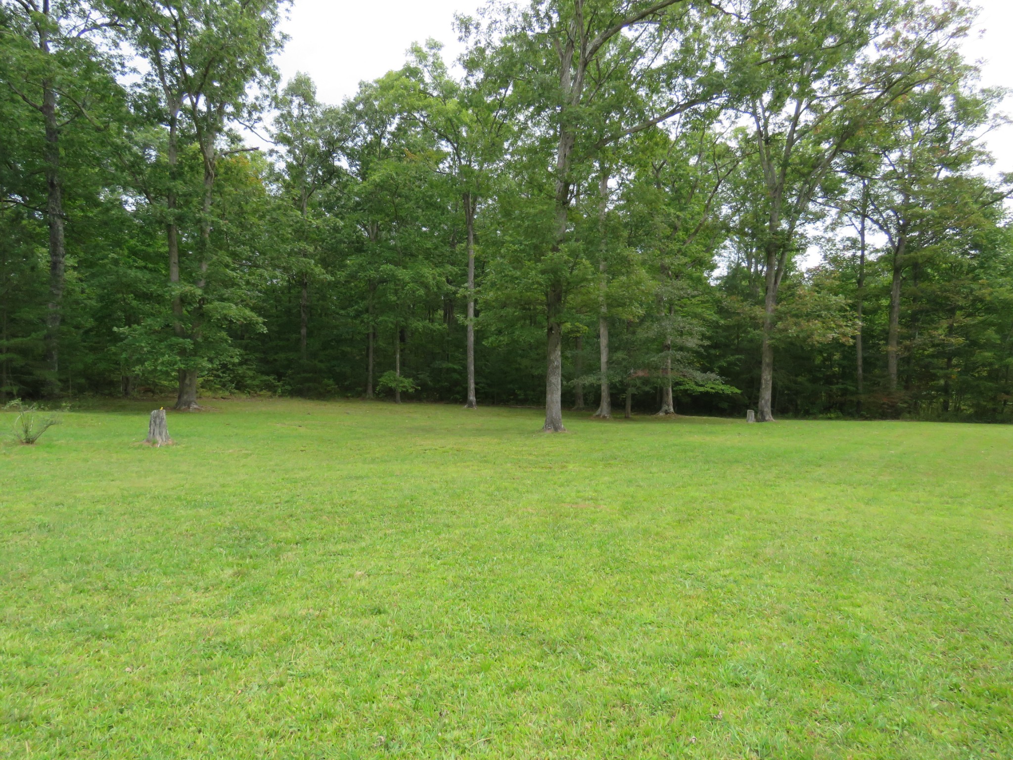 461 Jim Garrett Road Monterey, TN 38574 - Photo 39 of 47 Gallery Image 39