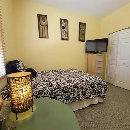 a bedroom with a bed and a television