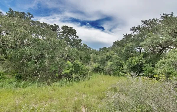 a view of a lush green space