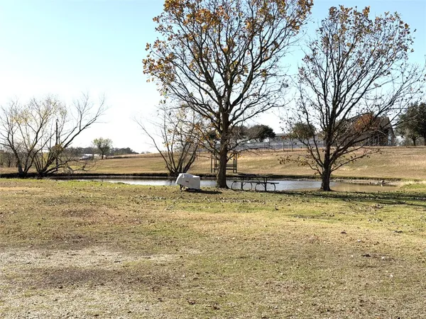 a view of yard with trees