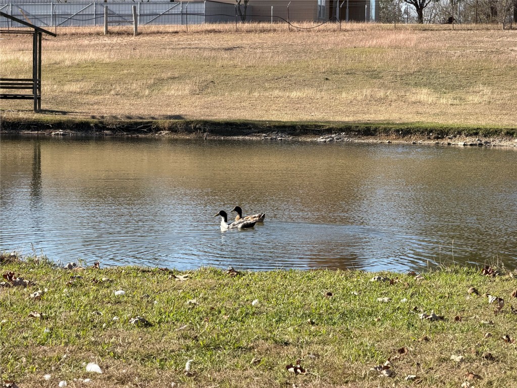 2035 Borchert Loop Lockhart, TX 78644 - Photo 22 of 25 a view of a lake view