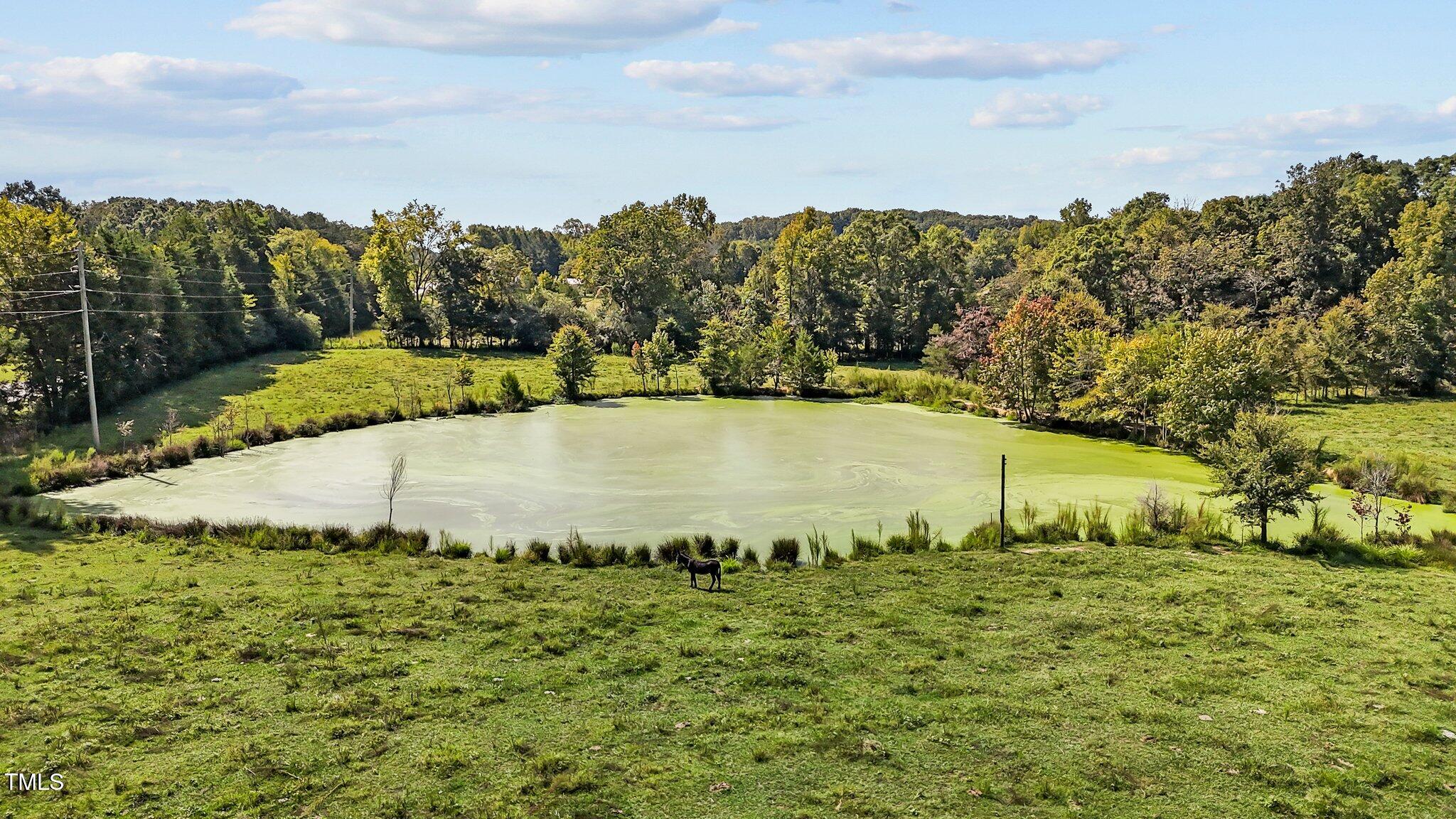 9847 Snow Camp Road Snow Camp, NC 27349 - Photo 51 of 52 51-web-or-mls-DJI_20240911113045_0024_D