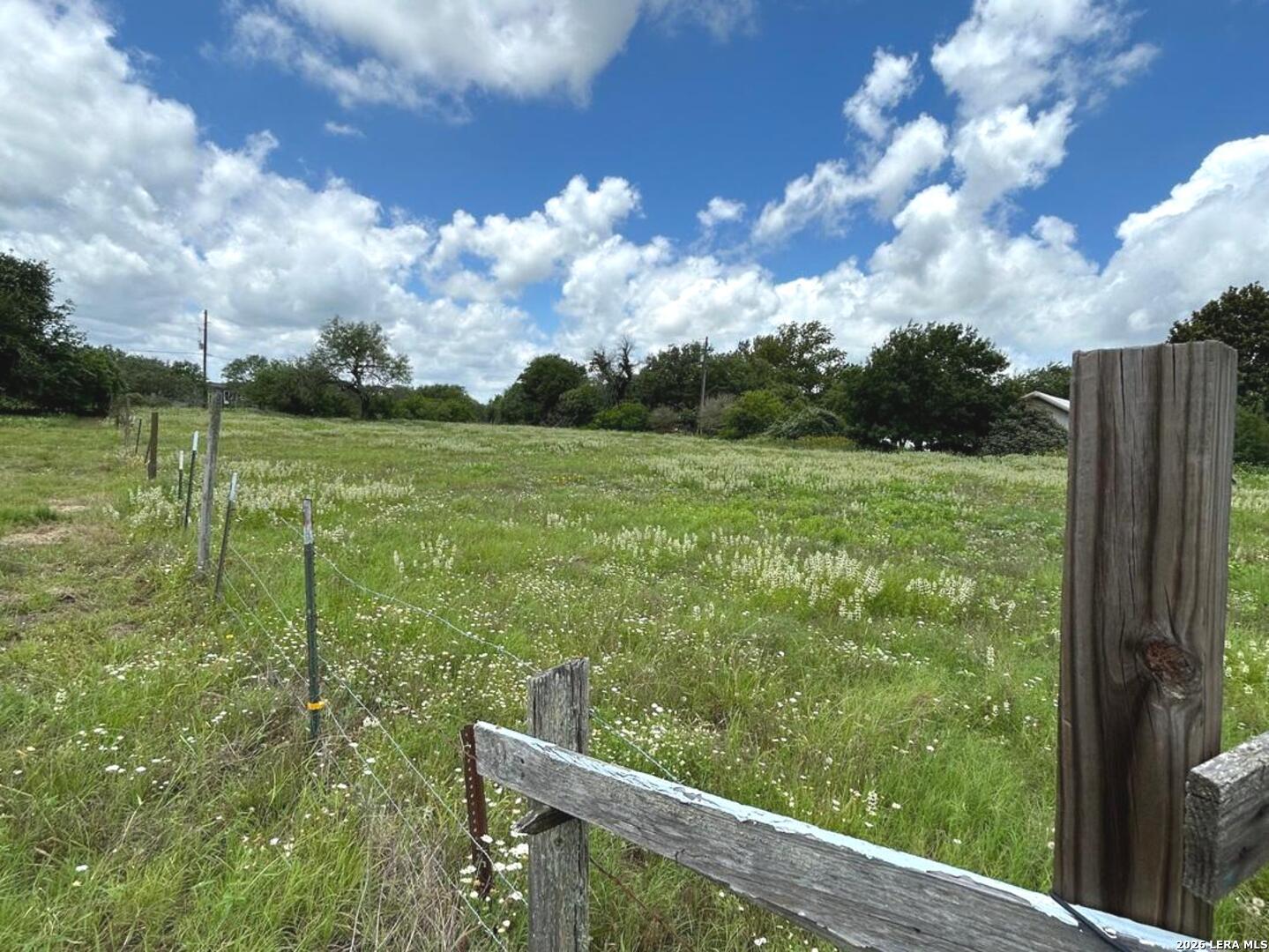 1460 Sandy Elm Road La Vernia, TX 78121 - Photo 13 of 25