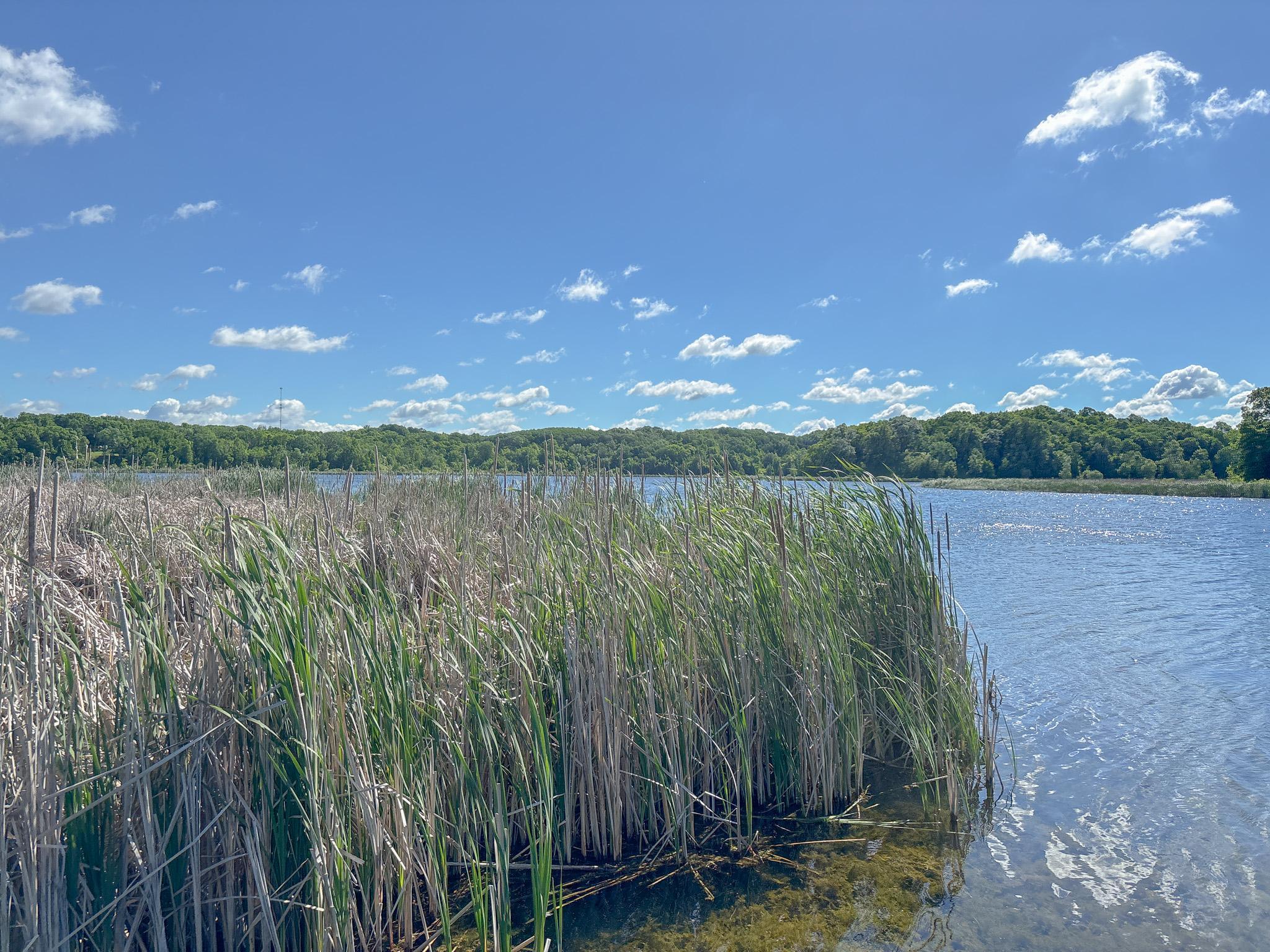 24718 West Elbow Road Pelican Rapids, MN 56572 - Photo 54 of 79