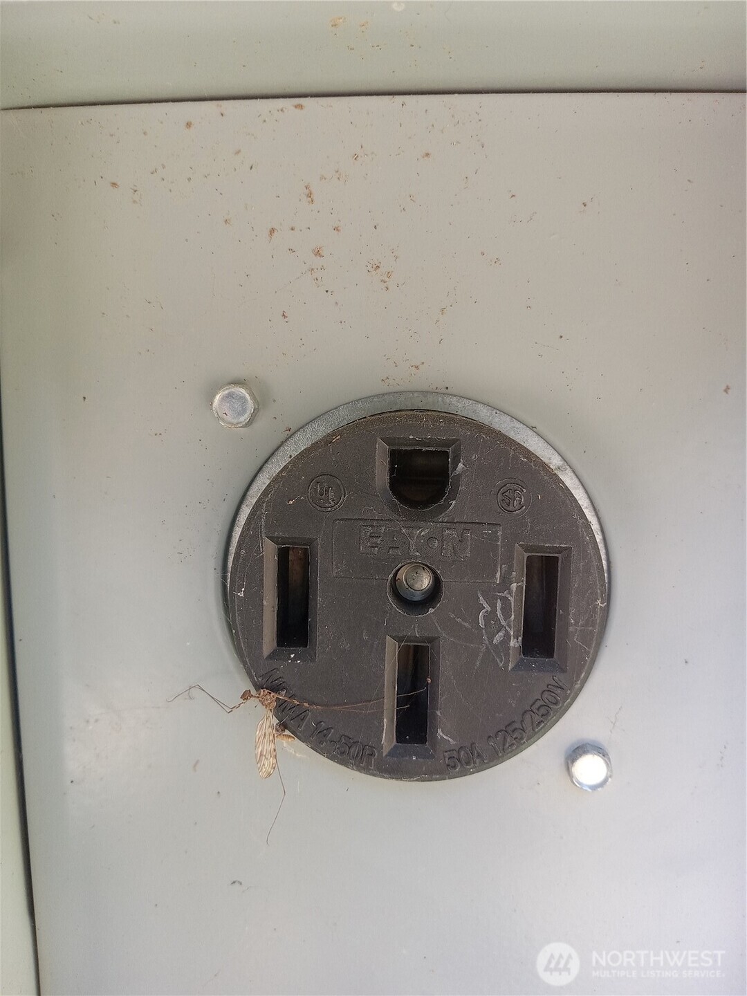 90 Maple Street Quilcene, WA 98376 - Photo 16 of 20