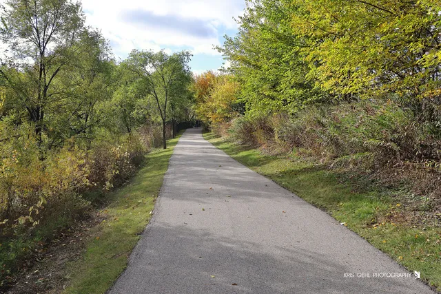 a view of lake from a tree