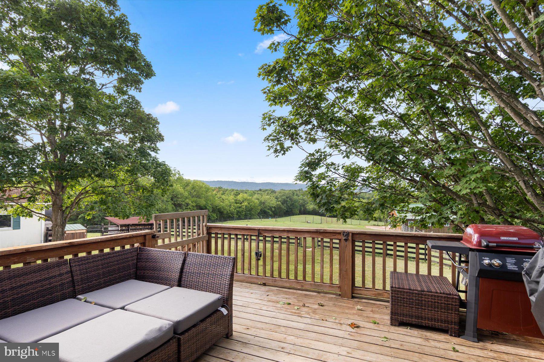 1579 Millner Road Strasburg, VA 22657 - Photo 2 of 30 Scenic deck with lush green views.