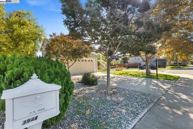 a view of a yard with palm trees