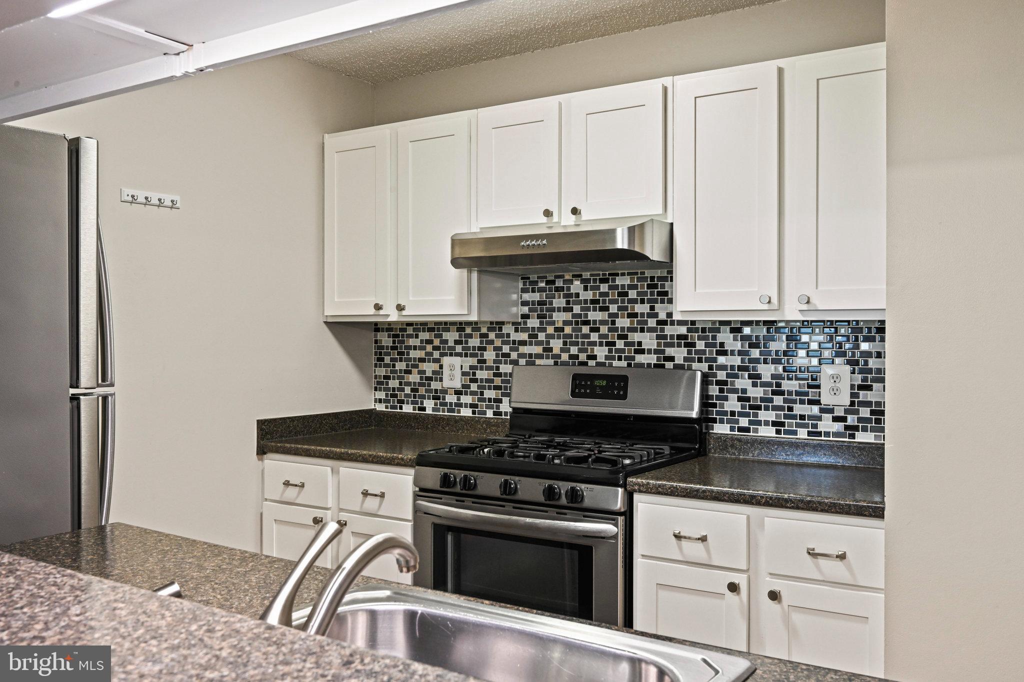 21013 Timber Ridge Terrace, Unit 202 Ashburn, VA 20147 - Photo 8 of 42 a kitchen with granite countertop a stove sink and cabinets
