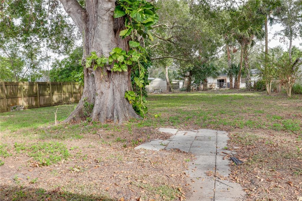 110 Duval Road Winter Haven, FL 33884 - Photo 24 of 25 a backyard of a house with lots of green space