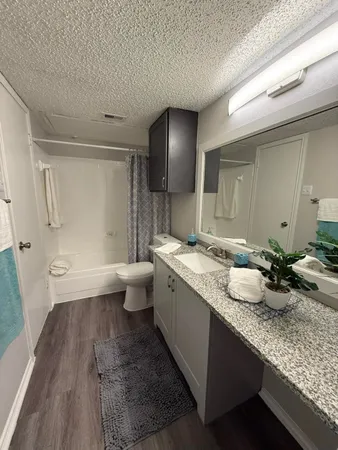 a bathroom with a granite countertop sink a toilet a mirror and vanity
