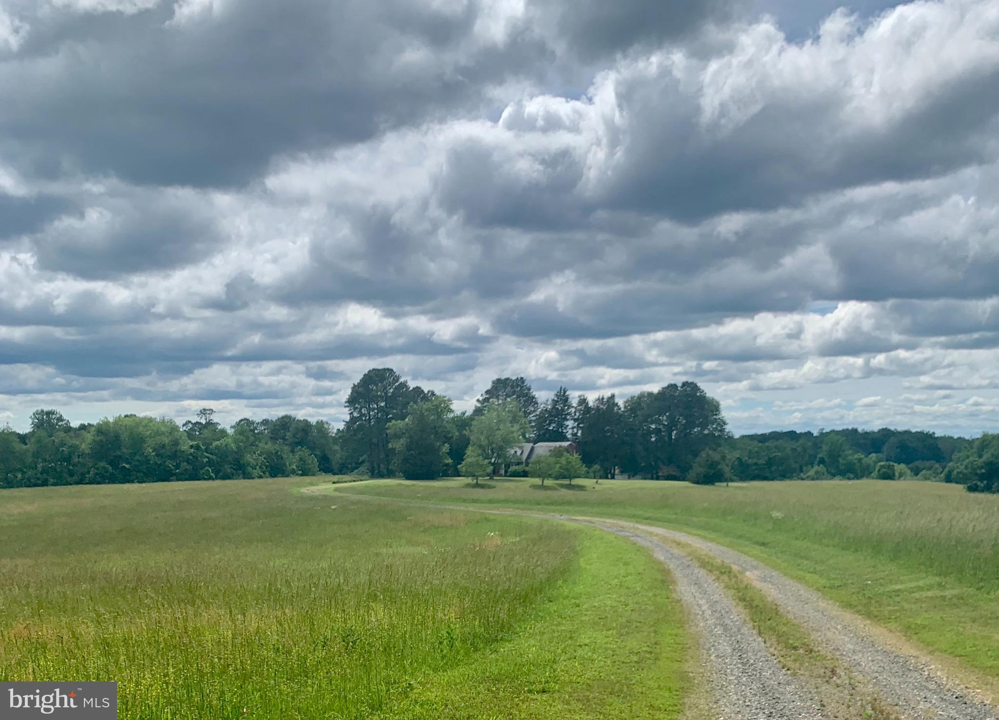 88 Rocky Run Road Fredericksburg, VA 22406 - Photo 2 of 12 Open rolling land surrounded by water and trees!