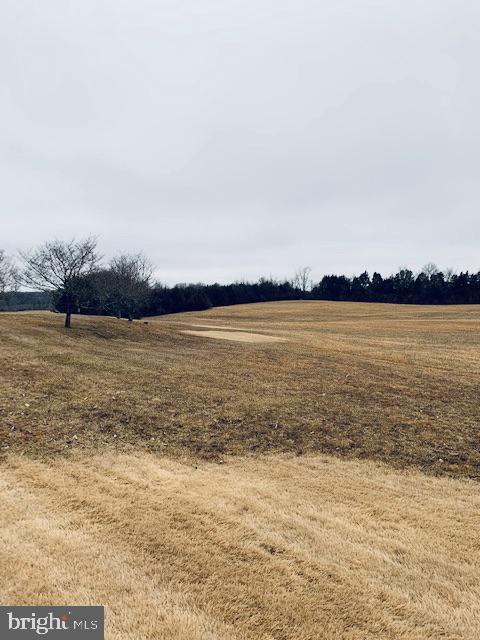 88 Rocky Run Road Fredericksburg, VA 22406 - Photo 5 of 12 Beautiful Rolling land -