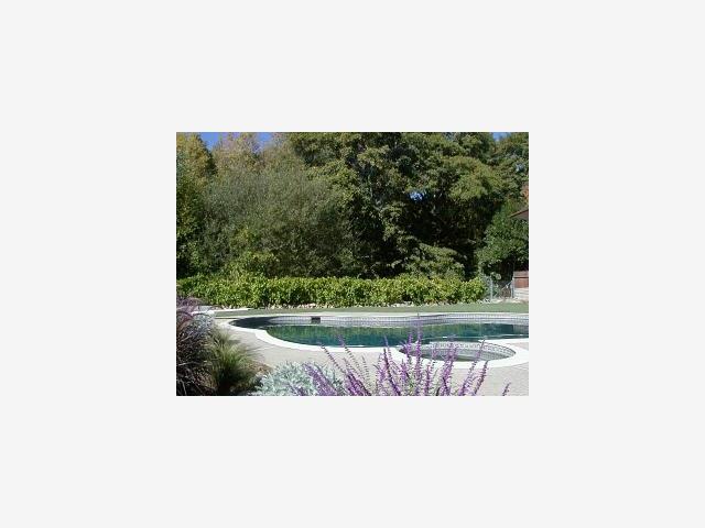 285 Rancho Rio Avenue Ben Lomond, CA 95005 - Photo 6 of 6 Gallery Image 6