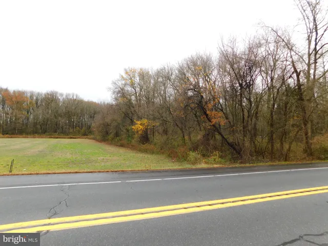 a view of road with trees in background