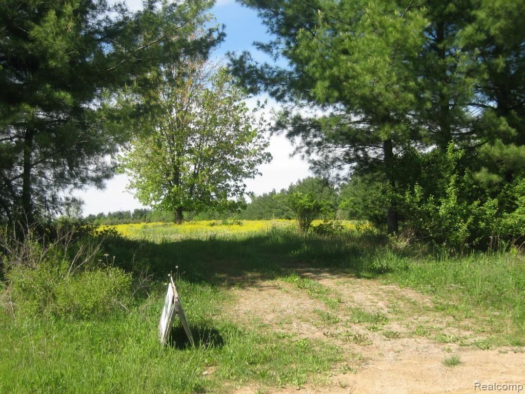 0 Lothrop Road Imlay City, MI 48444 - Photo 1 of 9
