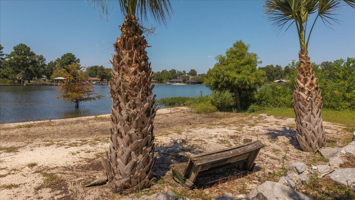 1184 Perch Drive Manning, SC 29102 - Photo 58 of 81 38-1184 Perch Drive-37